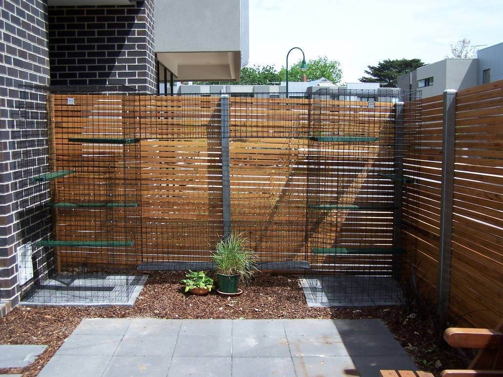 Galvanised Catnip enclosure fitted along a courtyard wall beside a timber screen