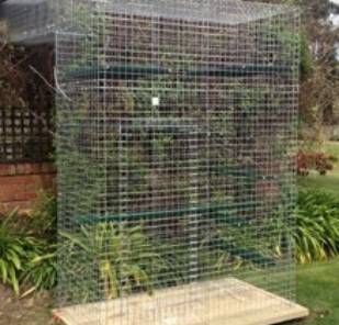 Medium Enclosure with Extended Height