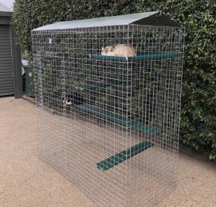 Medium Enclosure