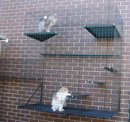 Climber suspended on wall