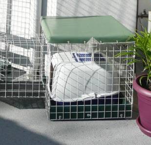 Toilet Enclosure with Cover