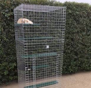 Small Enclosure with Extended Height