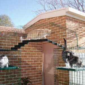 Two cats crossing a galvanised Catnip London Bridge walkway on a brick house