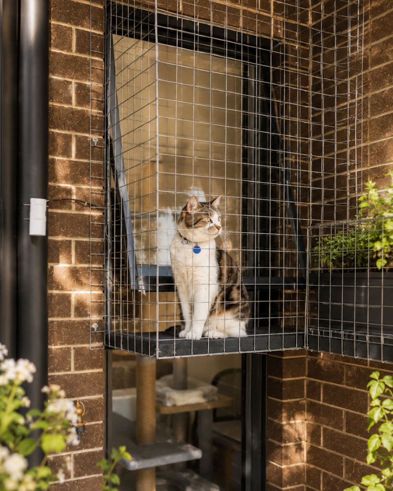 The Suite courtyard kit